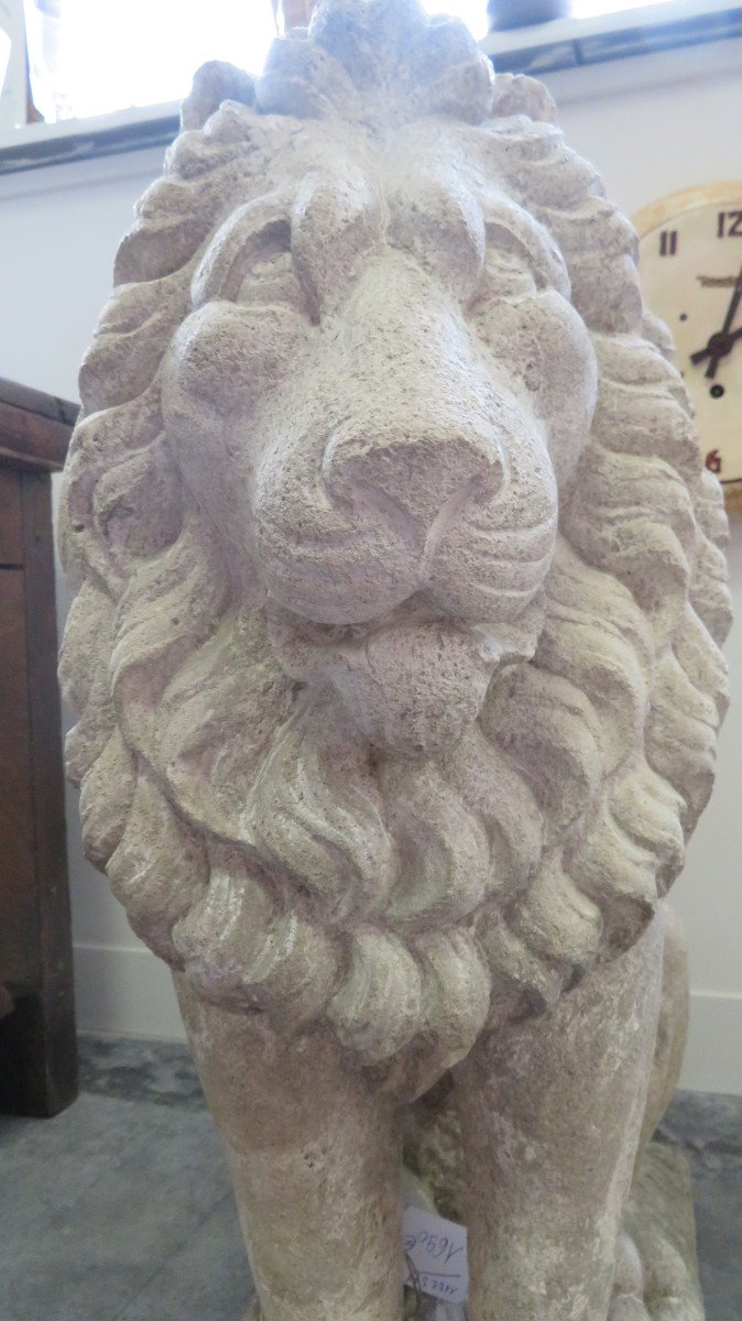 Stone Lion-photo-4