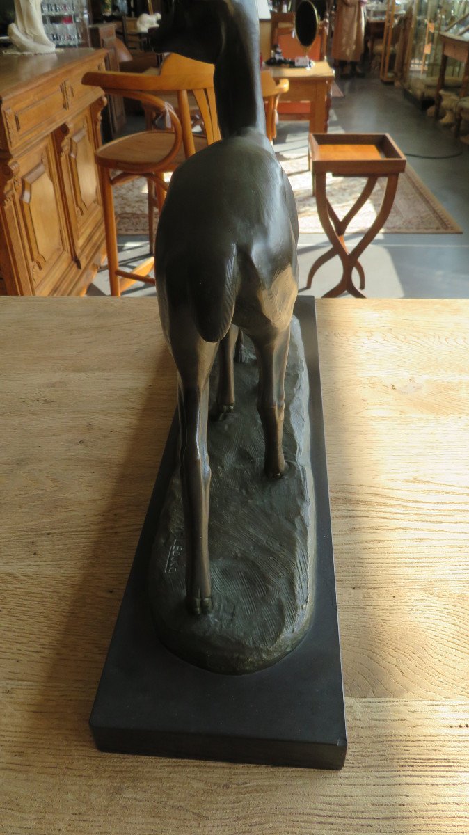 Animal Bronze-photo-3