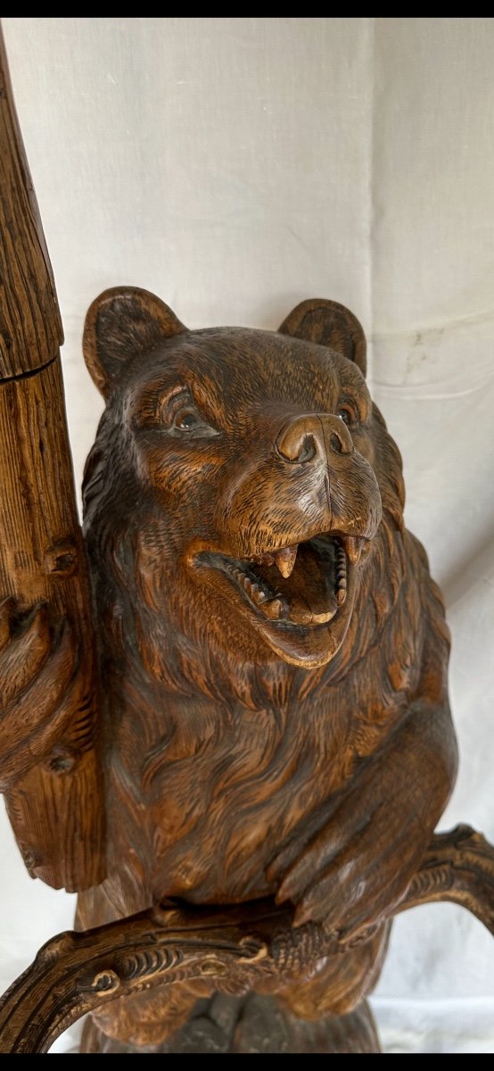 Bear Coat Rack With Percent In Carved Wood Black Forest Work-photo-3
