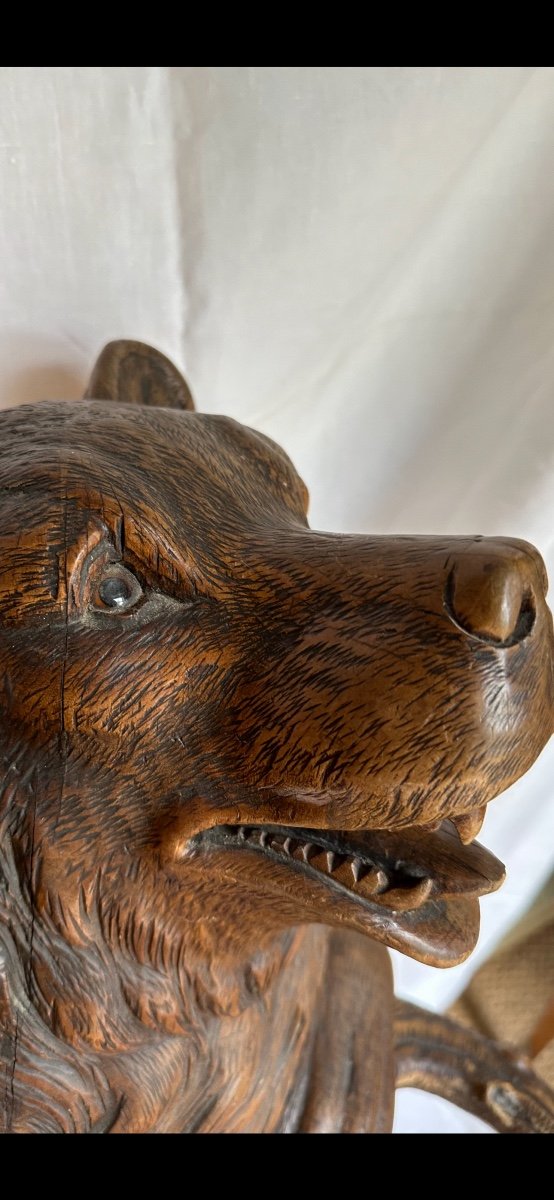 Bear Coat Rack With Percent In Carved Wood Black Forest Work-photo-3