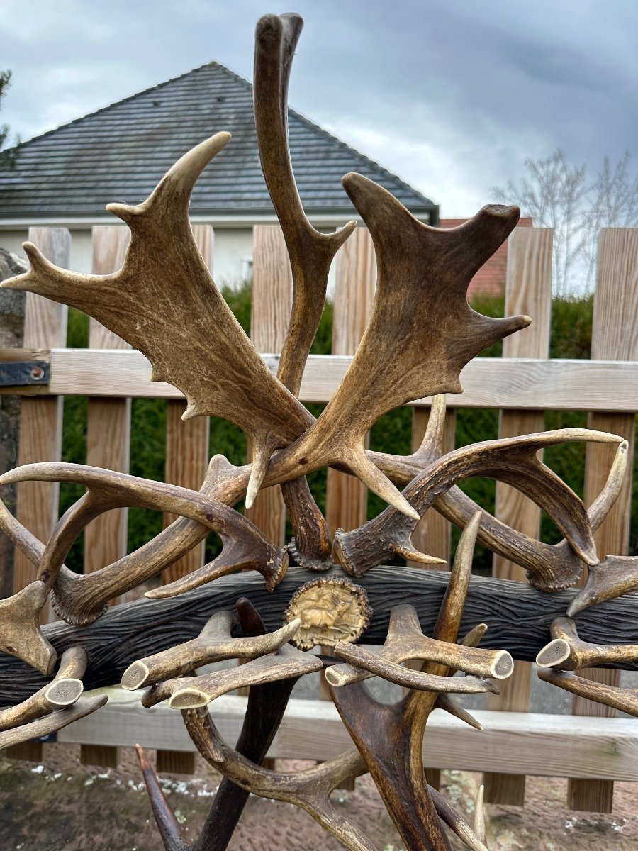 Porte Fusils -photo-3