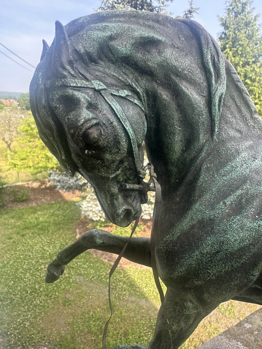 Statue pur sang arabe -photo-4