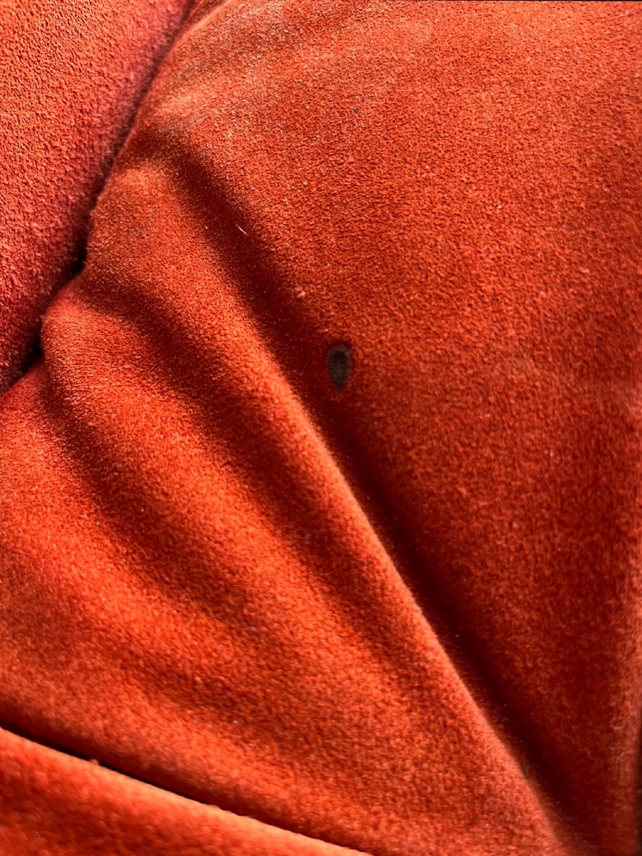 Canapé Giorgio Montani Pour Souplina Circa 70 -photo-7