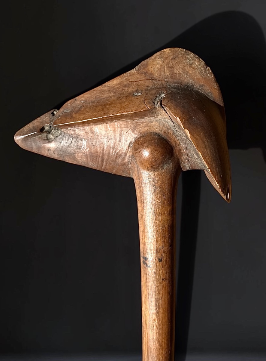 Kanak Club With Bird-beak Tip - New Caledonia, 19th Century -photo-3