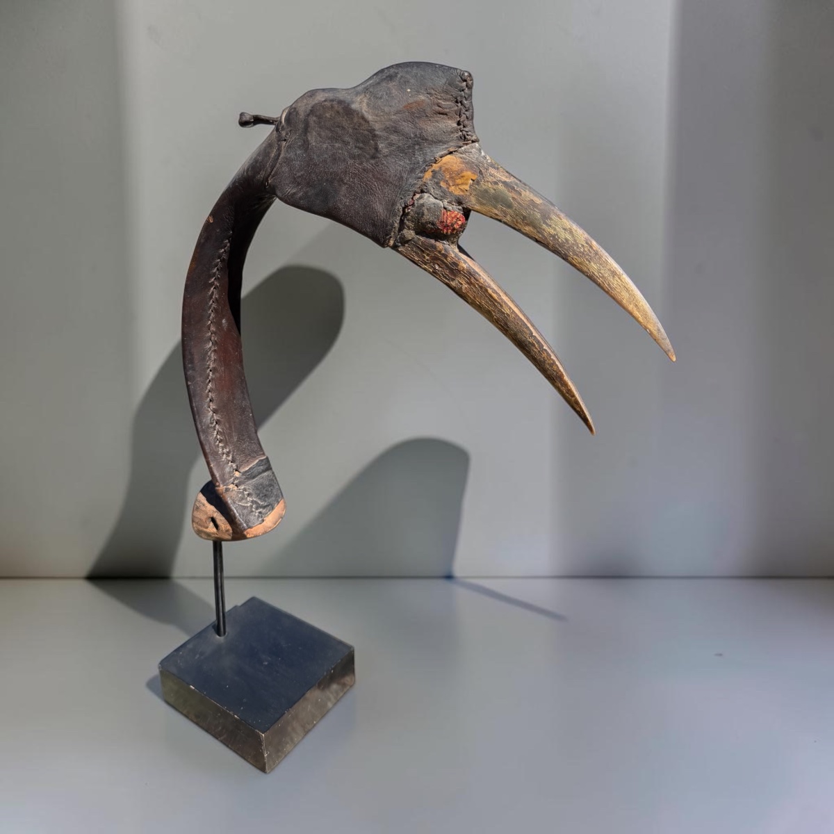 Calao Hunting Decoy - Nigeria-photo-3