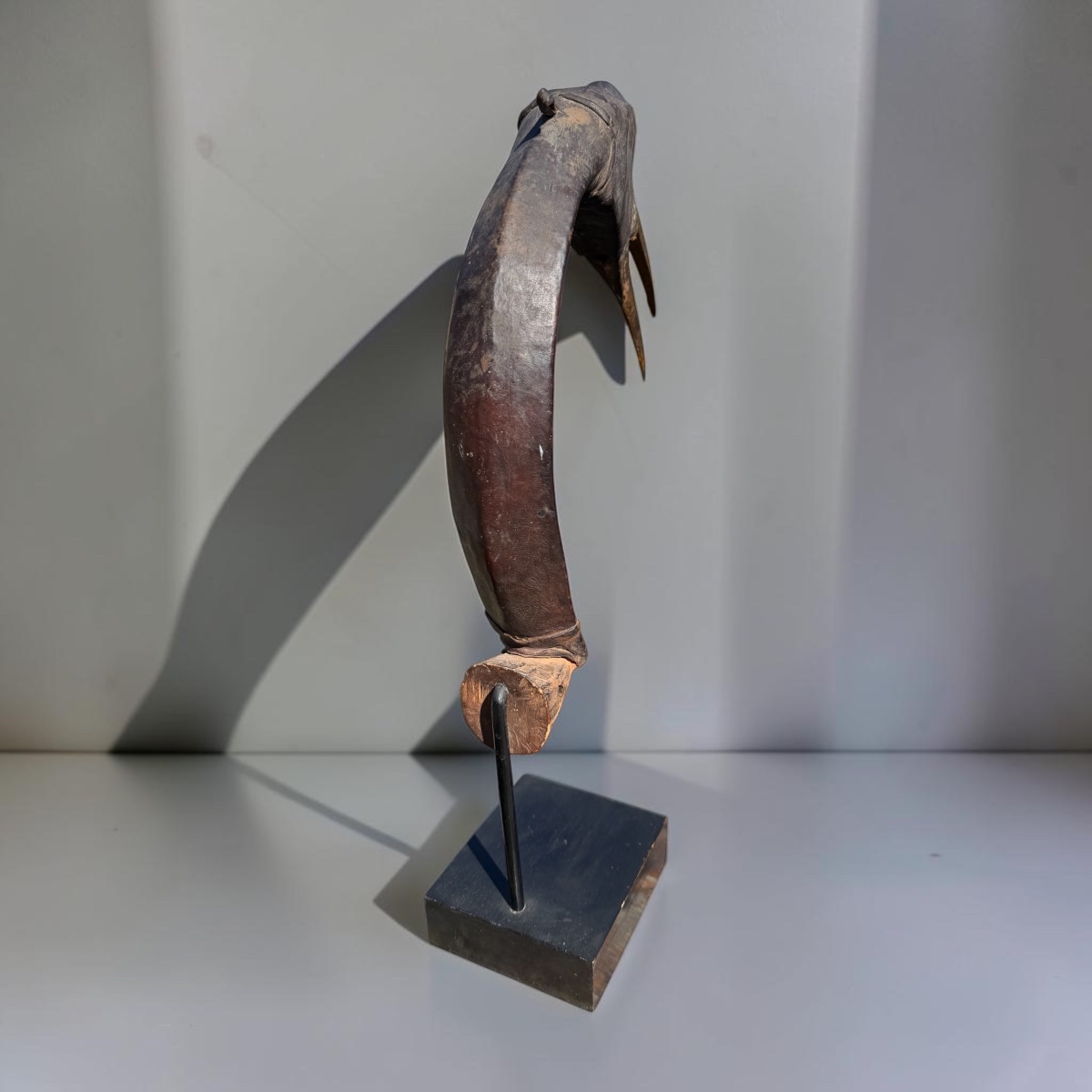 Calao Hunting Decoy - Nigeria-photo-4
