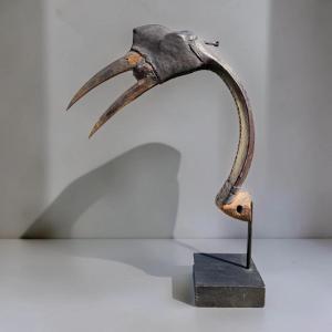 Calao Hunting Decoy - Nigeria