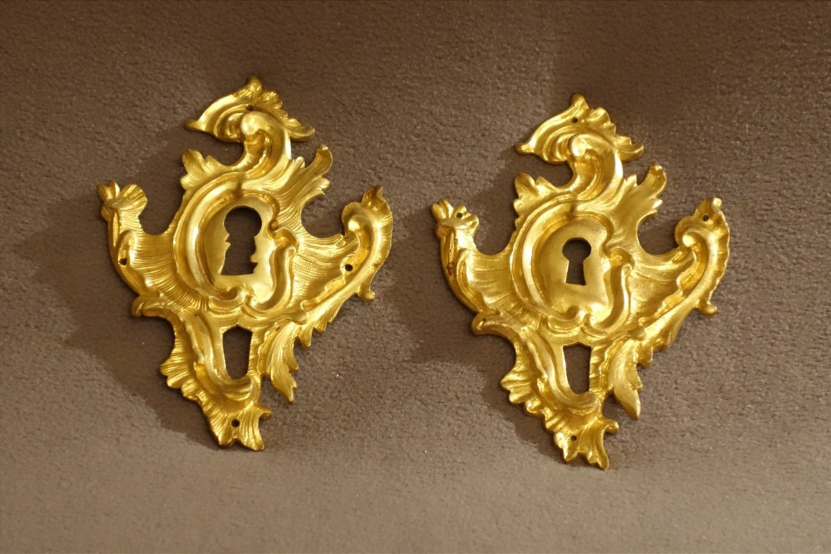 Pair Of Large, Period Louis XV-style Lock Plates 