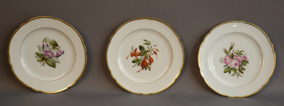 Botanic Old Paris Porcelain Plates XIXth-photo-2