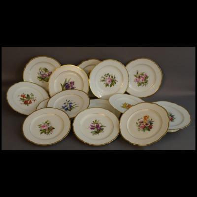 Botanic Old Paris Porcelain Plates XIXth