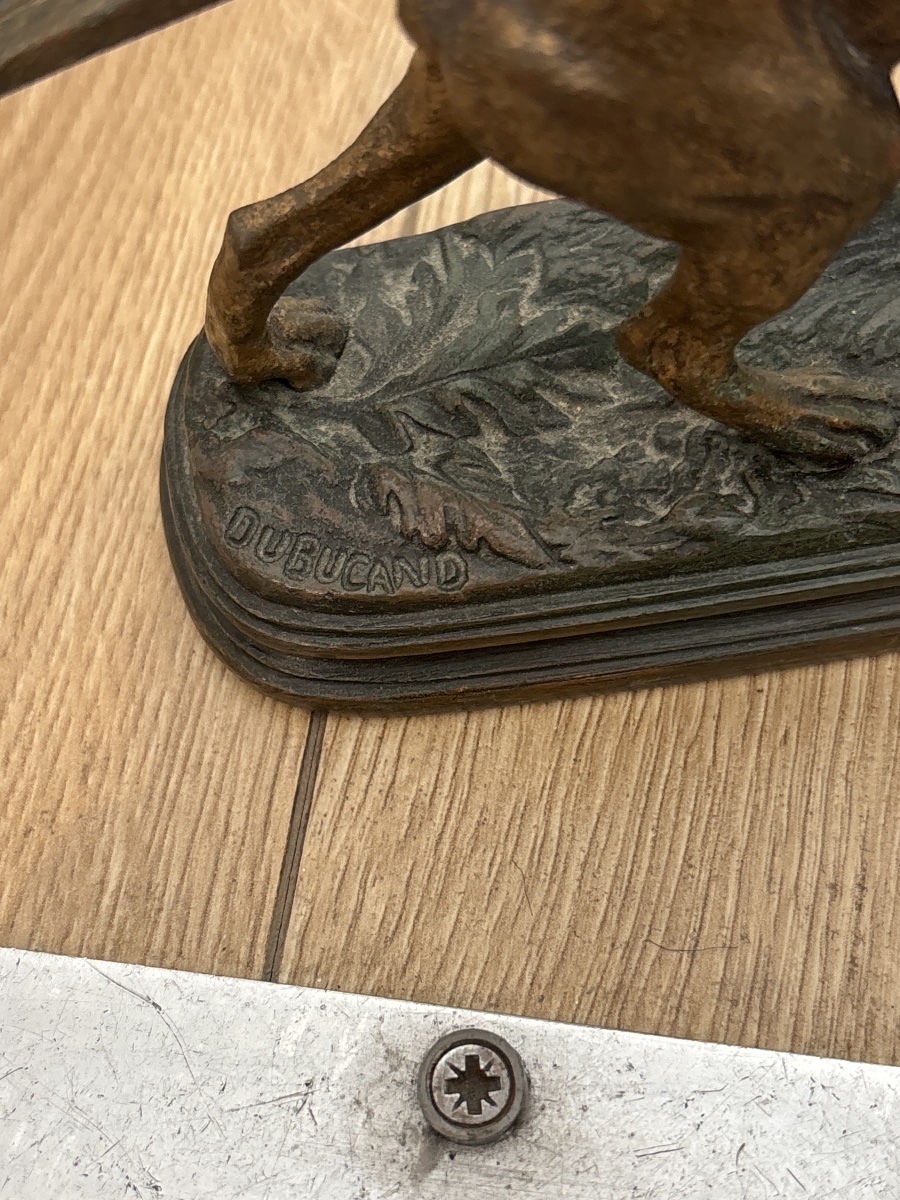 Paire de bronzes animaliers signés Paul Dubucand – Chiens de chasse – XIXᵉ siècle-photo-3