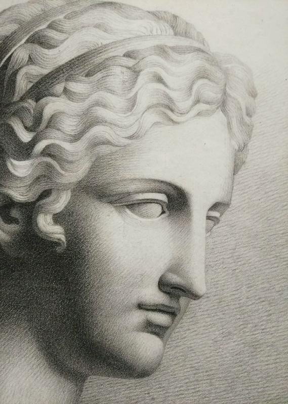 Portrait Dessin Tête d'Aphrodite De Kaufmann.-photo-2