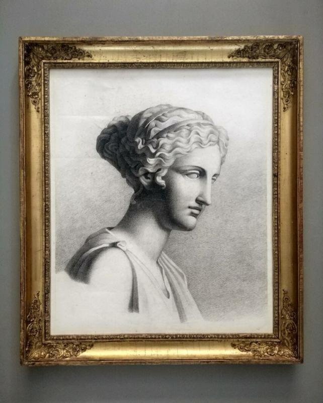 Portrait Dessin Tête d'Aphrodite De Kaufmann.