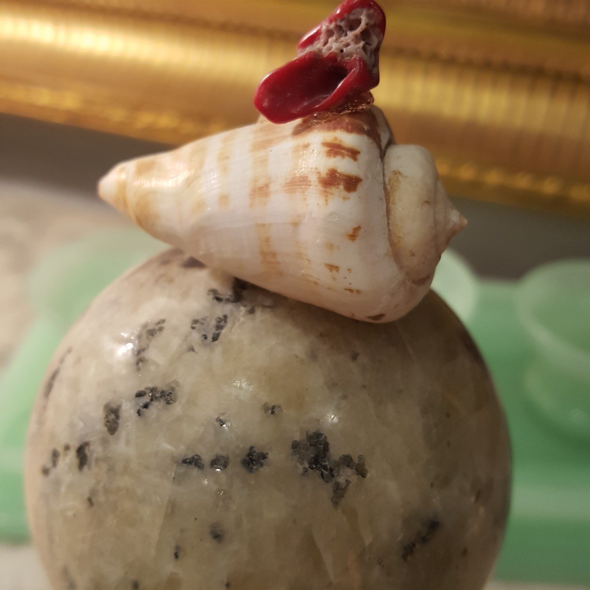 Cabinet Of Curiosity: Paperweight: Granite Ball And Shell -photo-1