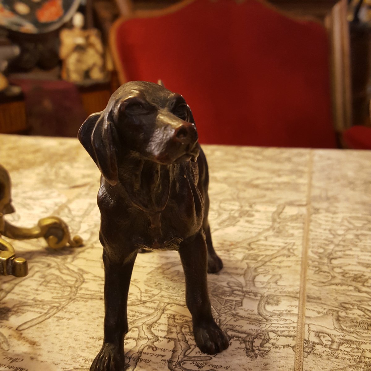 Paire de chiens de chasse bronze de Gaillard-photo-2