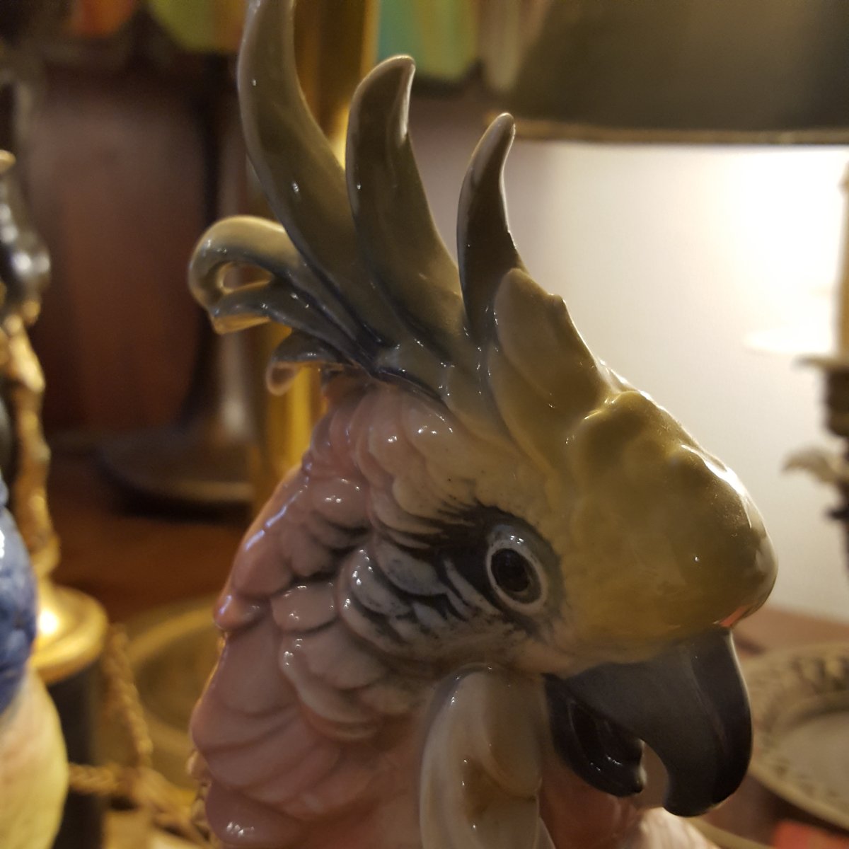 Pair Of Multicolored Parrots, German Porcelain-photo-3
