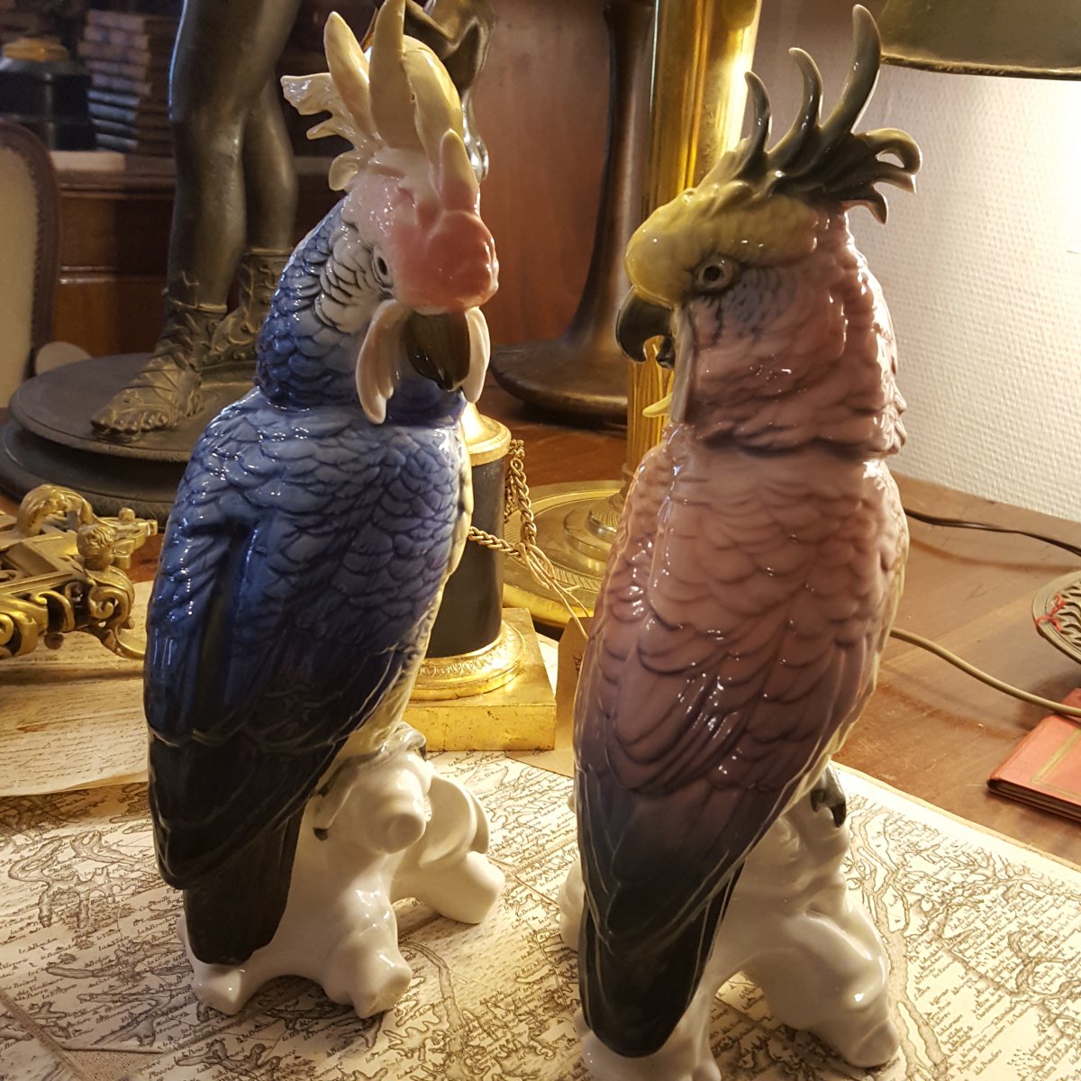 Pair Of Multicolored Parrots, German Porcelain-photo-4