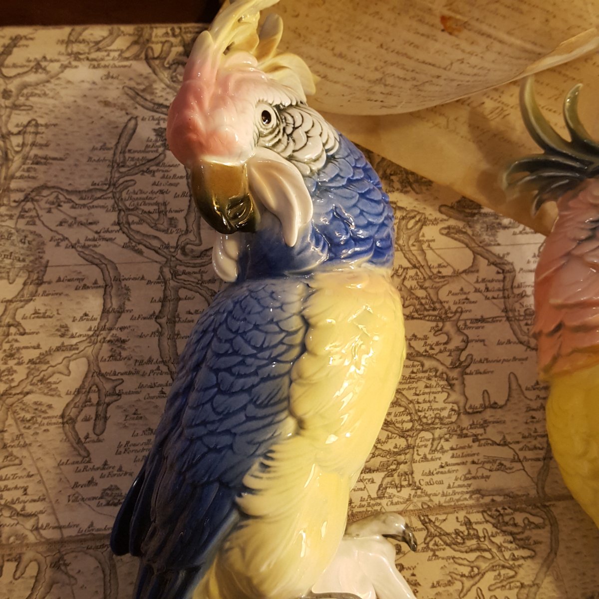 Pair Of Multicolored Parrots, German Porcelain-photo-3