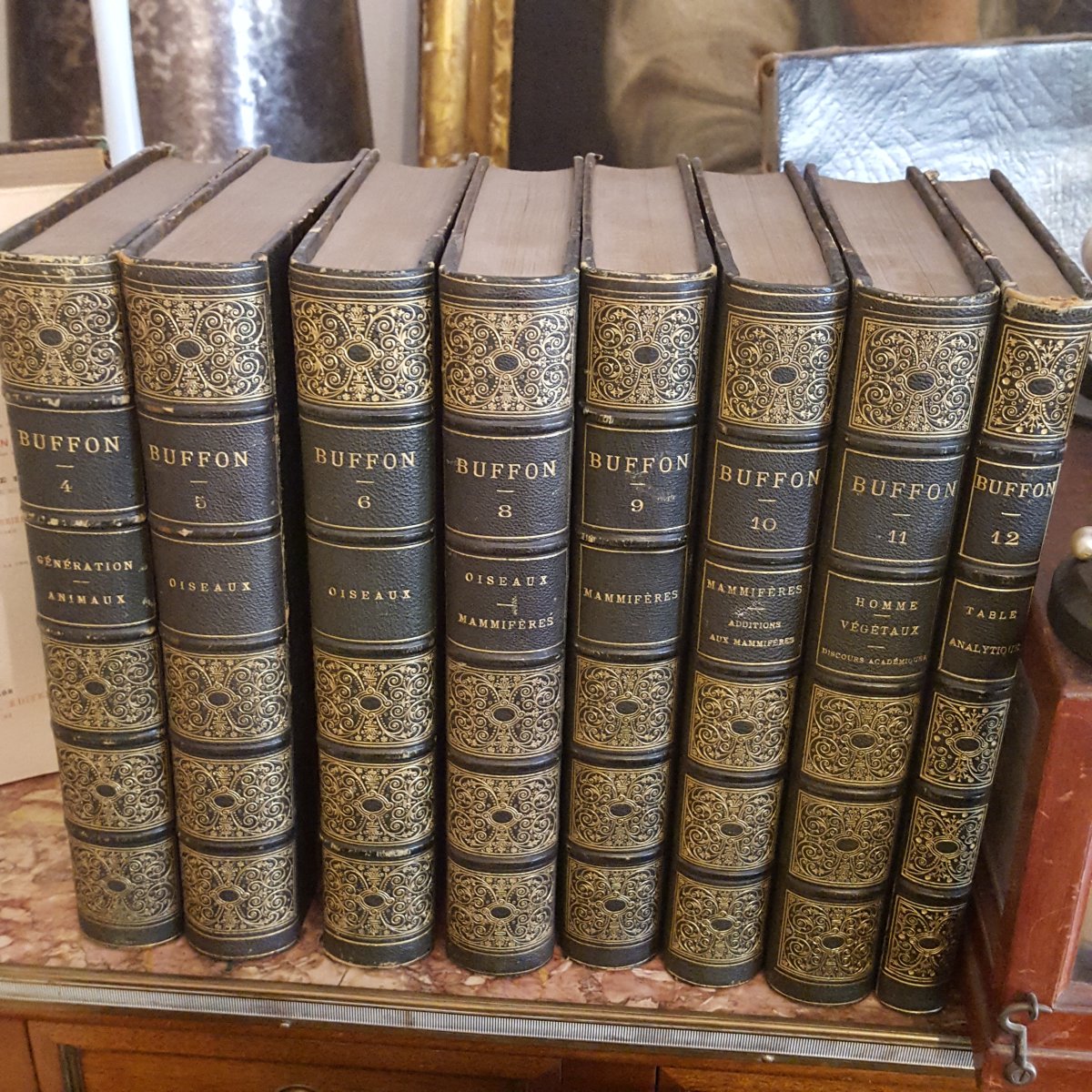 12+2 volumes Œuvres Complètes de Buffon par De Lanessan-photo-1