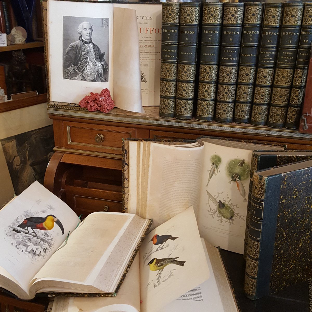 12+2 volumes Œuvres Complètes de Buffon par De Lanessan
