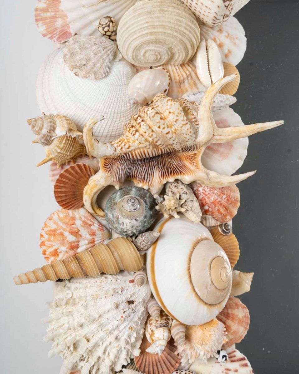 An Exceptional Mirror Decorated With Seashell Motifs. 20th Century.-photo-4