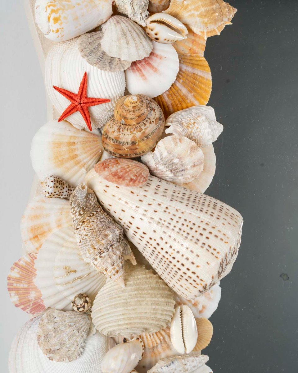An Exceptional Mirror Decorated With Seashell Motifs. 20th Century.-photo-1