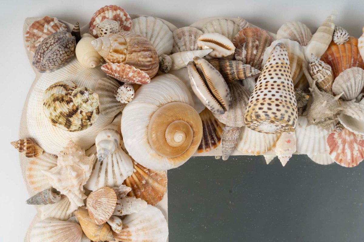 An Exceptional Mirror Decorated With Seashell Motifs. 20th Century.-photo-2
