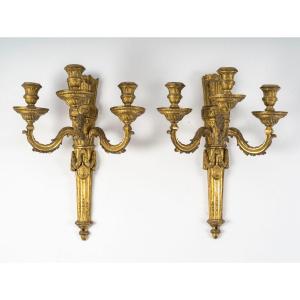 Pair Of Large Louis XVI Period Wall Lights. 18th Century.