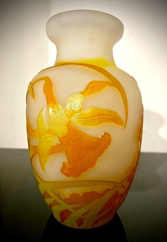 Emile Gallé Vase Art Nouveau  -photo-4