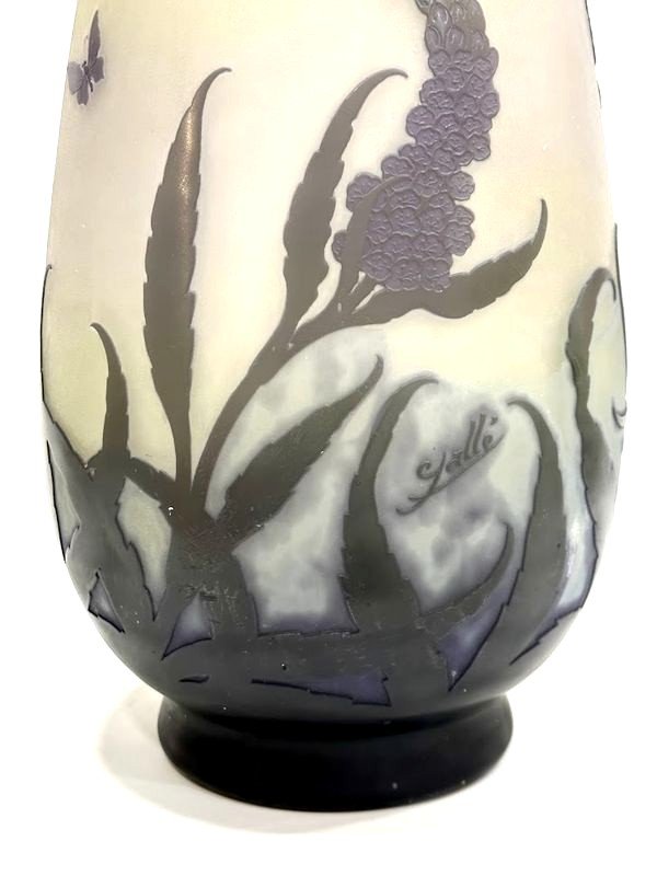 Emile Gallé Vase Art Nouveau  "Veronica Spicata"-photo-1