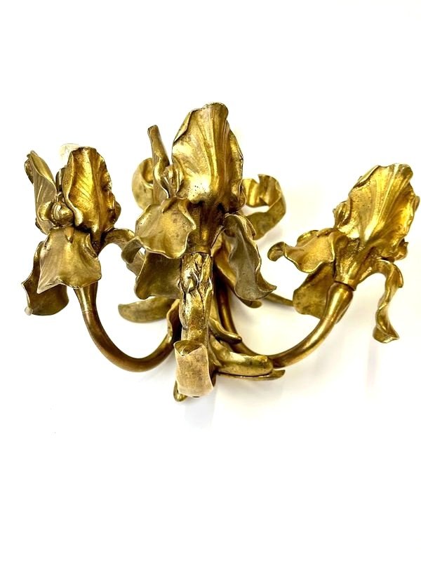 Paire d'Appliques En Bronze Art Nouveau "Aux Iris"-photo-5