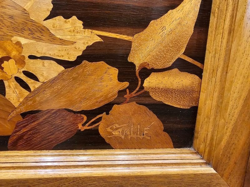 Emile Gallé Art Nouveau Display Case "clematis"-photo-6