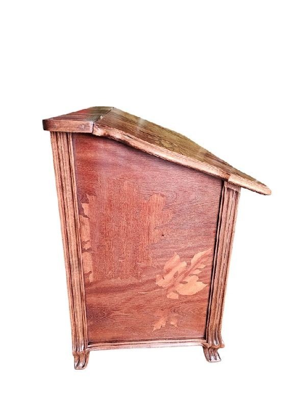 Emile Gallé Art Nouveau Chest "animated Winter Landscape"-photo-1
