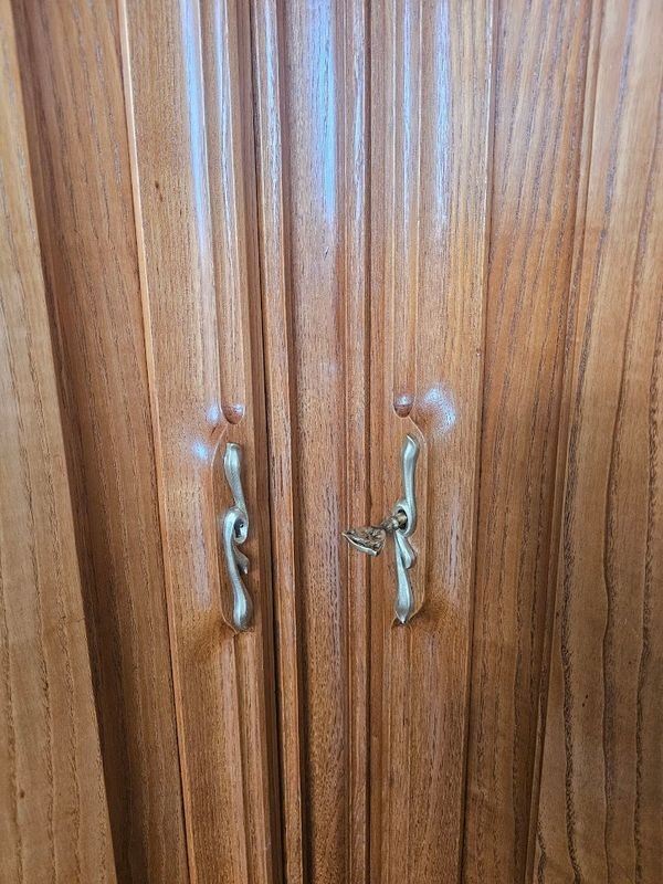 Art Nouveau Plumet Selmersheim Corner Cabinet-photo-6