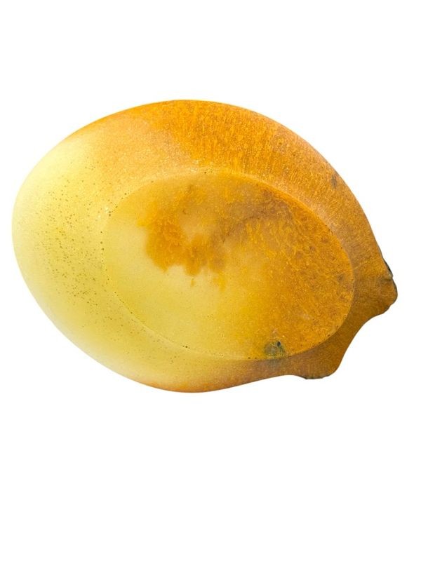 Amalric Walter Vide Poche "Au Lézard"-photo-3