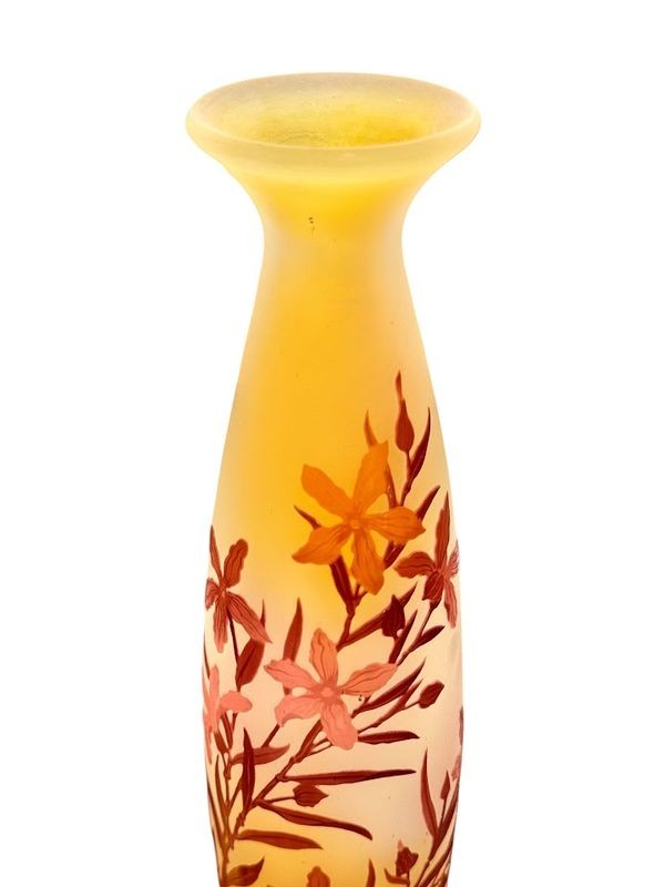 Emile Gallé Art Nouveau -photo-4