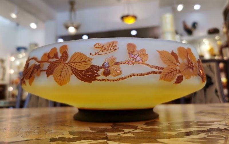 Gallé Art Nouveau Hazelnut Cup