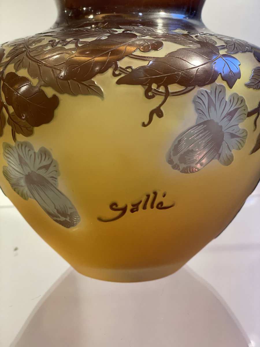 Vase Gallé Aux Bignones Art Nouveau-photo-3