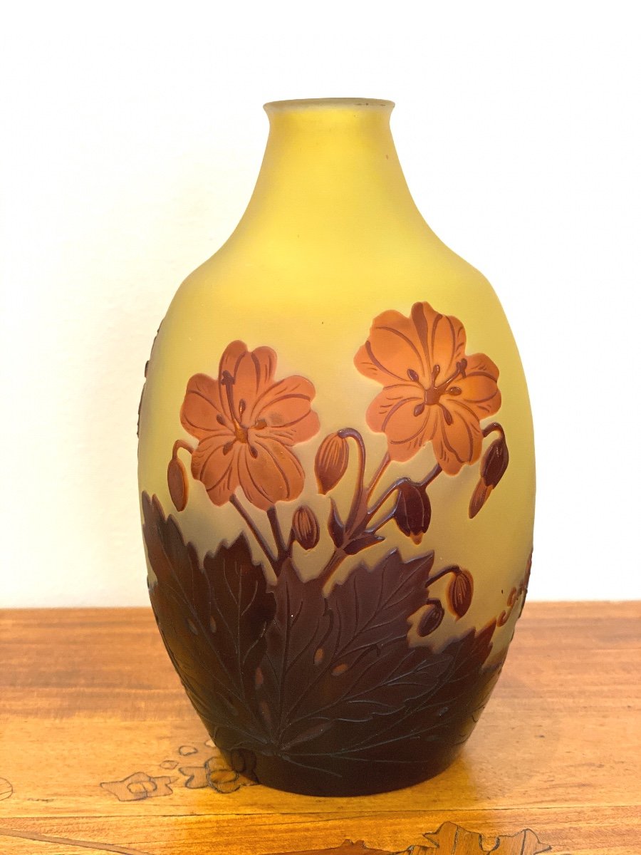 Vase Gallé Art Nouveau -photo-1