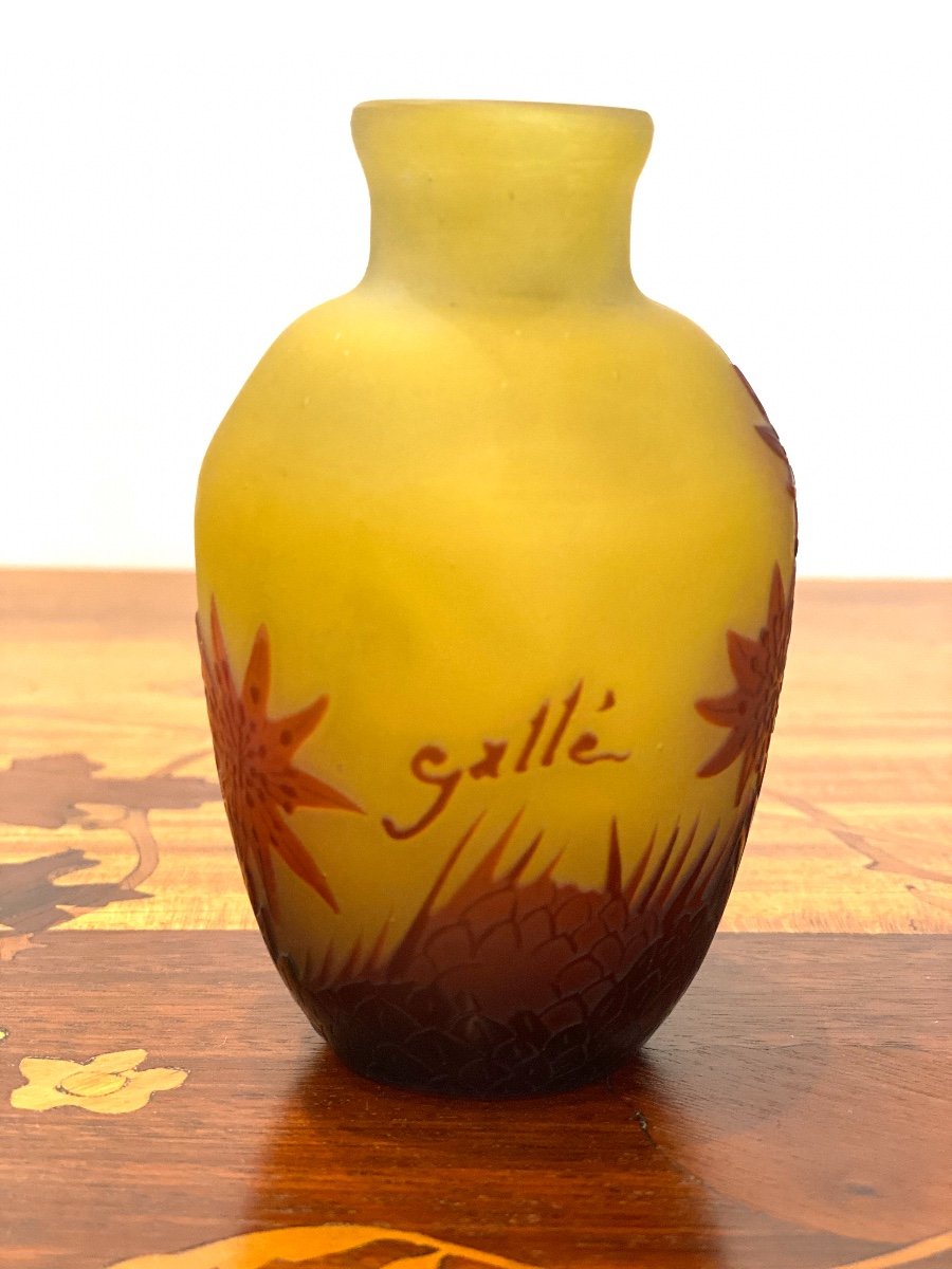 Gallé Art Nouveau Vase-photo-4