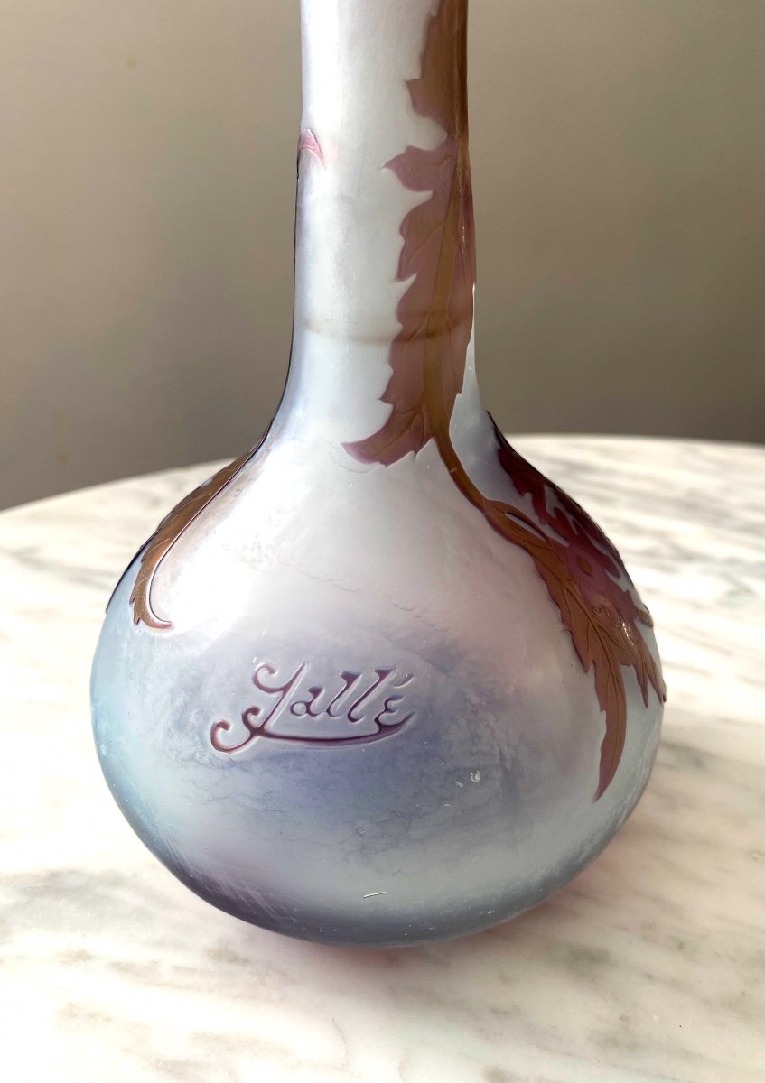 Art Nouveau Gallé Vase With Elders-photo-4