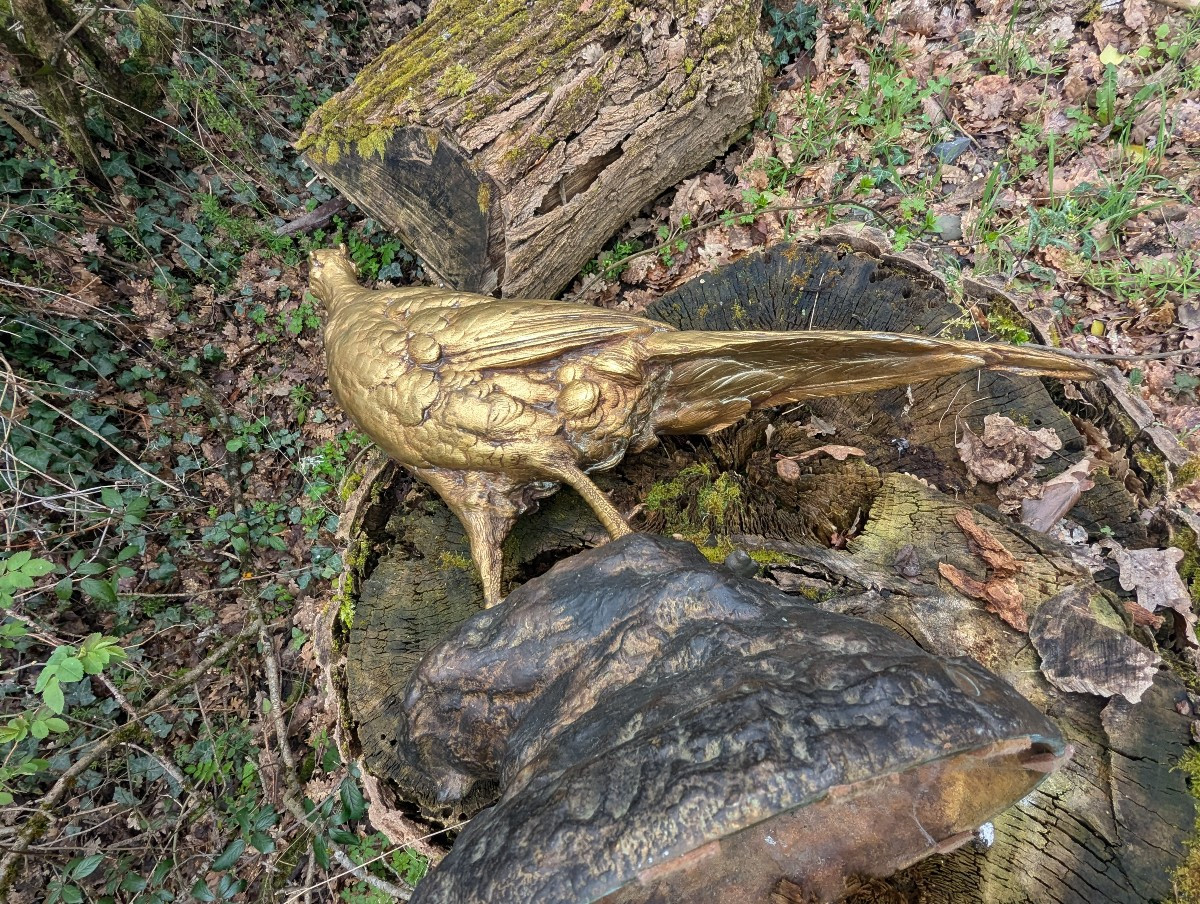 Large Bronze Pheasant With Double Patina – Paul Comoléra-photo-4
