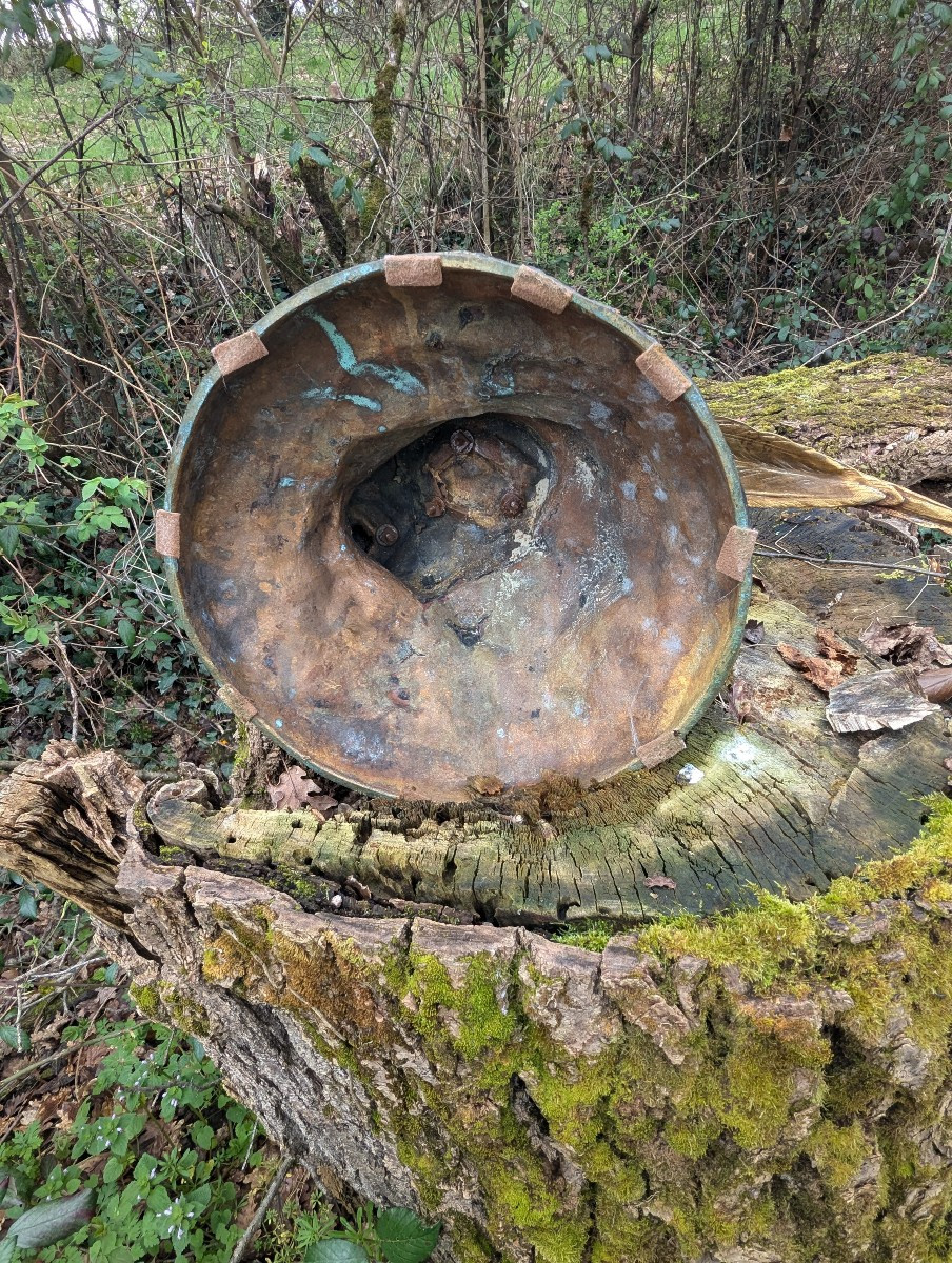 Large Bronze Pheasant With Double Patina – Paul Comoléra-photo-5