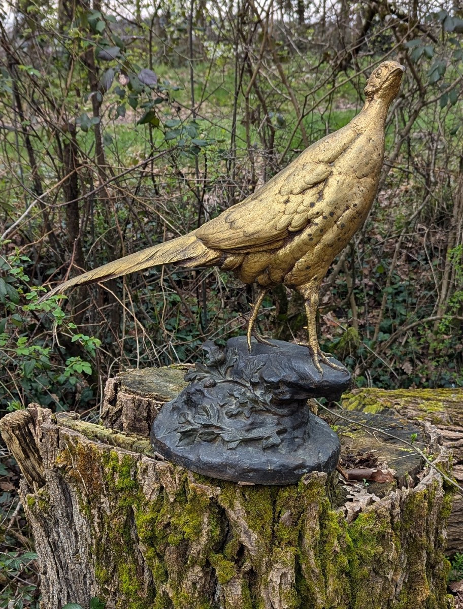 Large Bronze Pheasant With Double Patina – Paul Comoléra