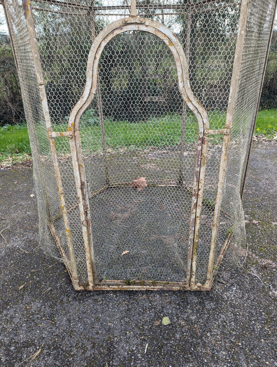 19th Century Wrought Iron Aviary -photo-2