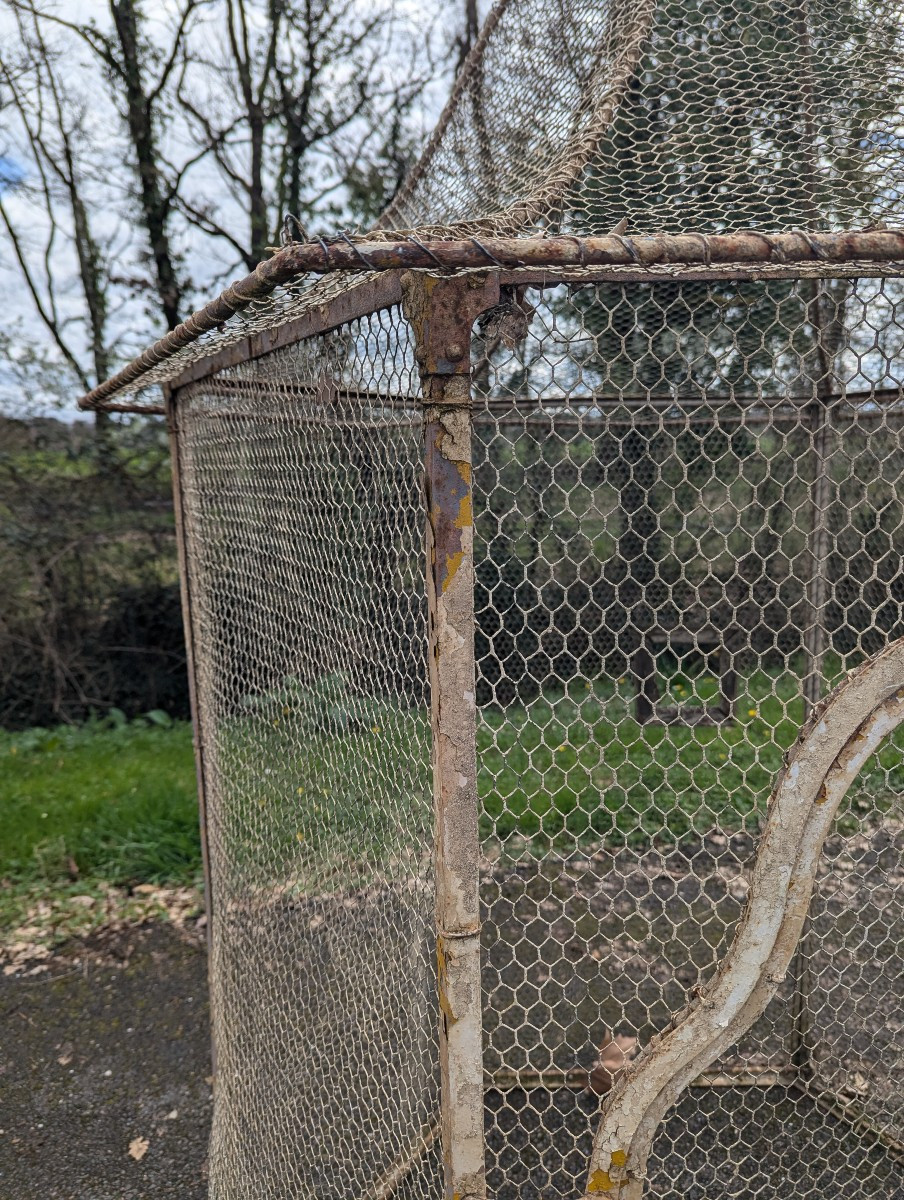 19th Century Wrought Iron Aviary -photo-3