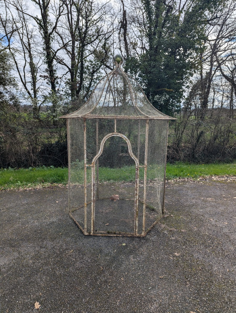 19th Century Wrought Iron Aviary 