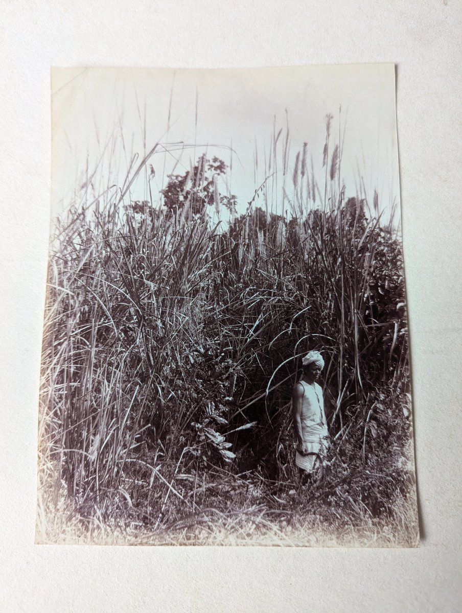 Rare 9x Photos INDE BRITANNIQUE ca 1885 Eléphants Artillerie Camp Militaire /...-photo-2