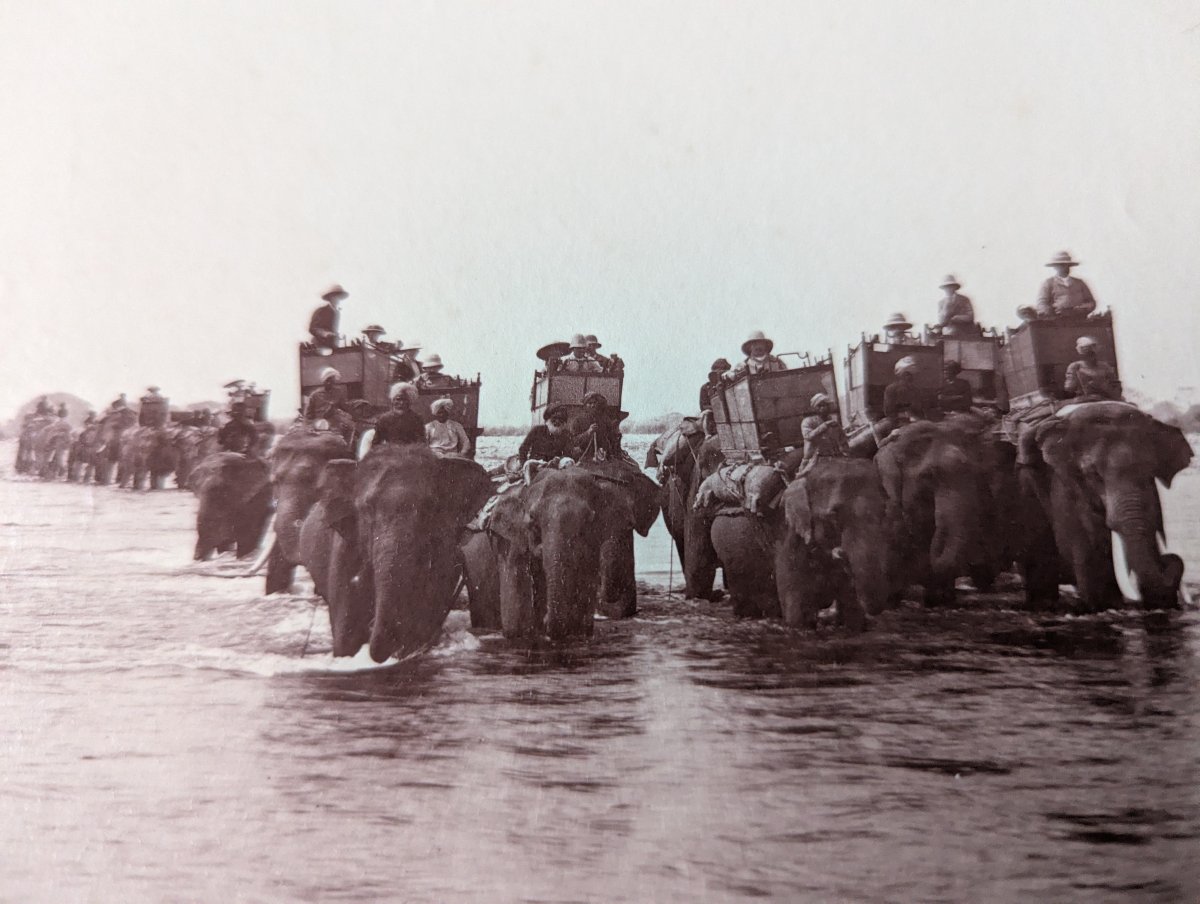 Rare 9x Photos INDE BRITANNIQUE ca 1885 Eléphants Artillerie Camp Militaire /...-photo-4