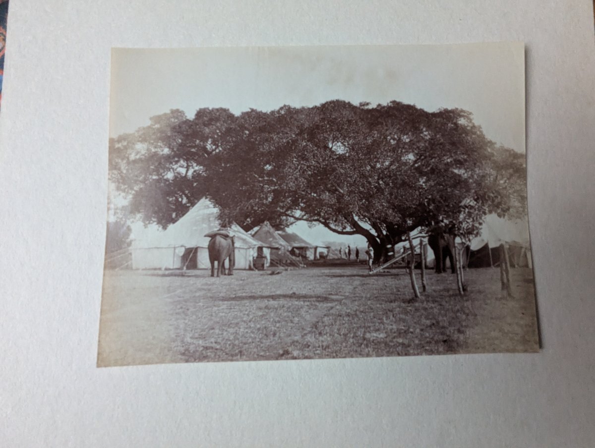 Rare 9x Photos INDE BRITANNIQUE ca 1885 Eléphants Artillerie Camp Militaire /...-photo-1